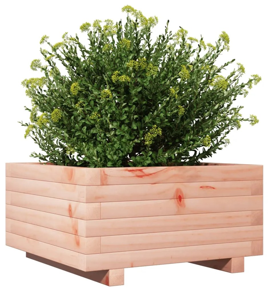 Vaso/floreira de jardim 50x50x26,5 cm madeira de douglas maciça