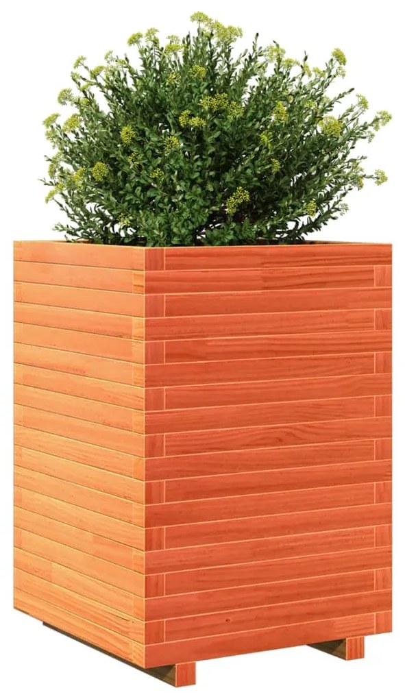 Vaso/floreira de jardim 50x50x72 cm pinho maciço castanho mel
