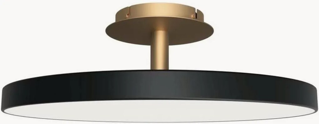 Candeeiro de teto LED regulável Asteria