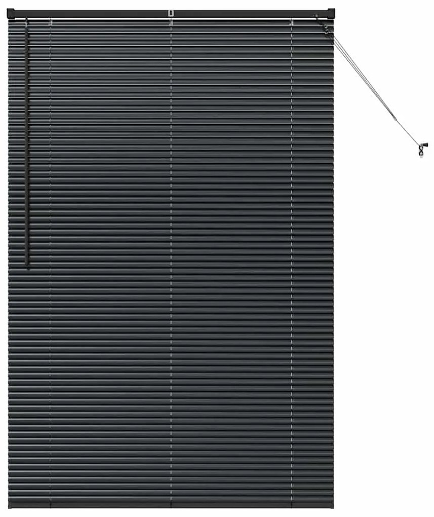 Persiana de Janela com cortinas Outros Manual Preto 120 x 175 cm Alumí