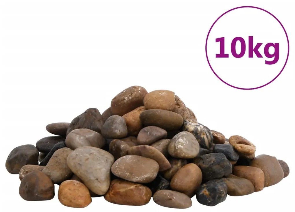 vidaXL Seixos polidos 10 kg 2-5 cm multicor
