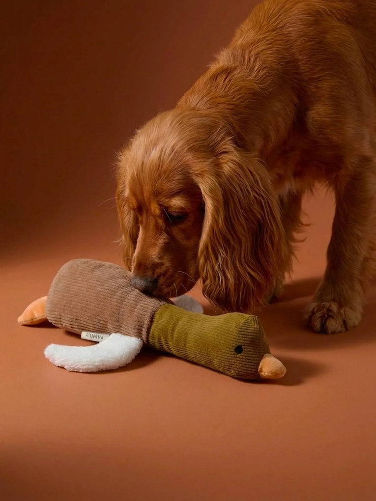 Brinquedo multi texturas pato, para cão avelã