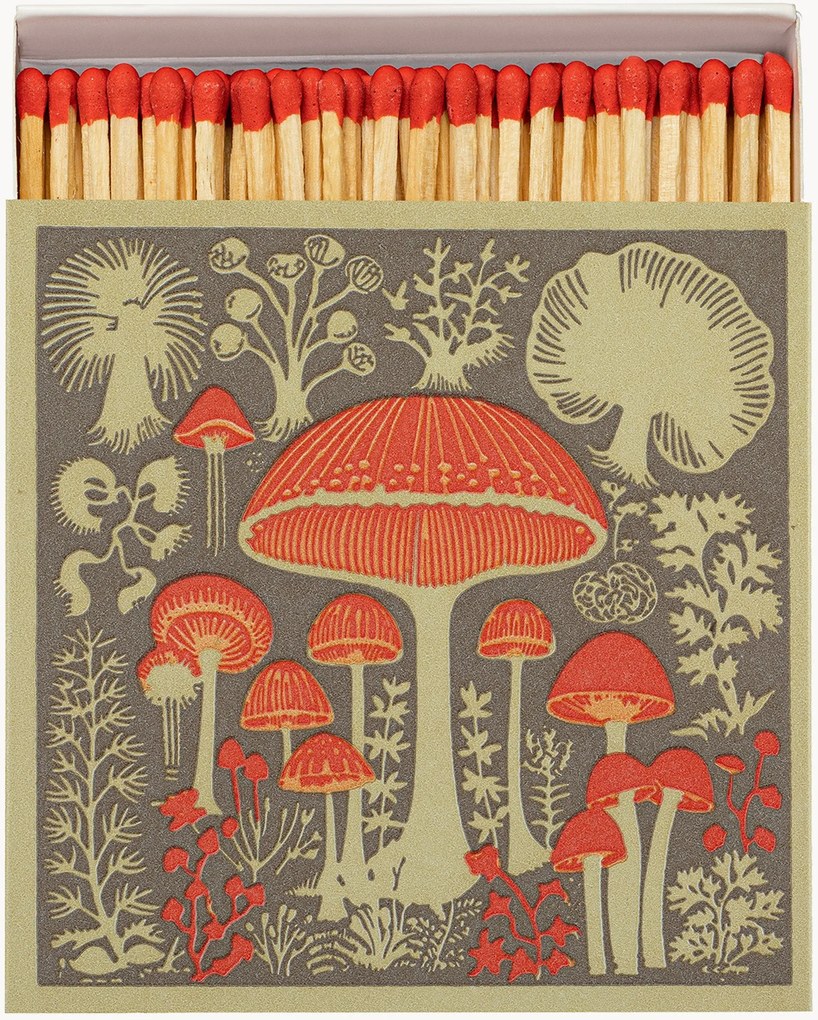 Caixa de fósforos de design Mushrooms