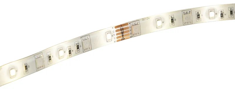 Fita LED inteligente RGBW 5 metros 24W com driver