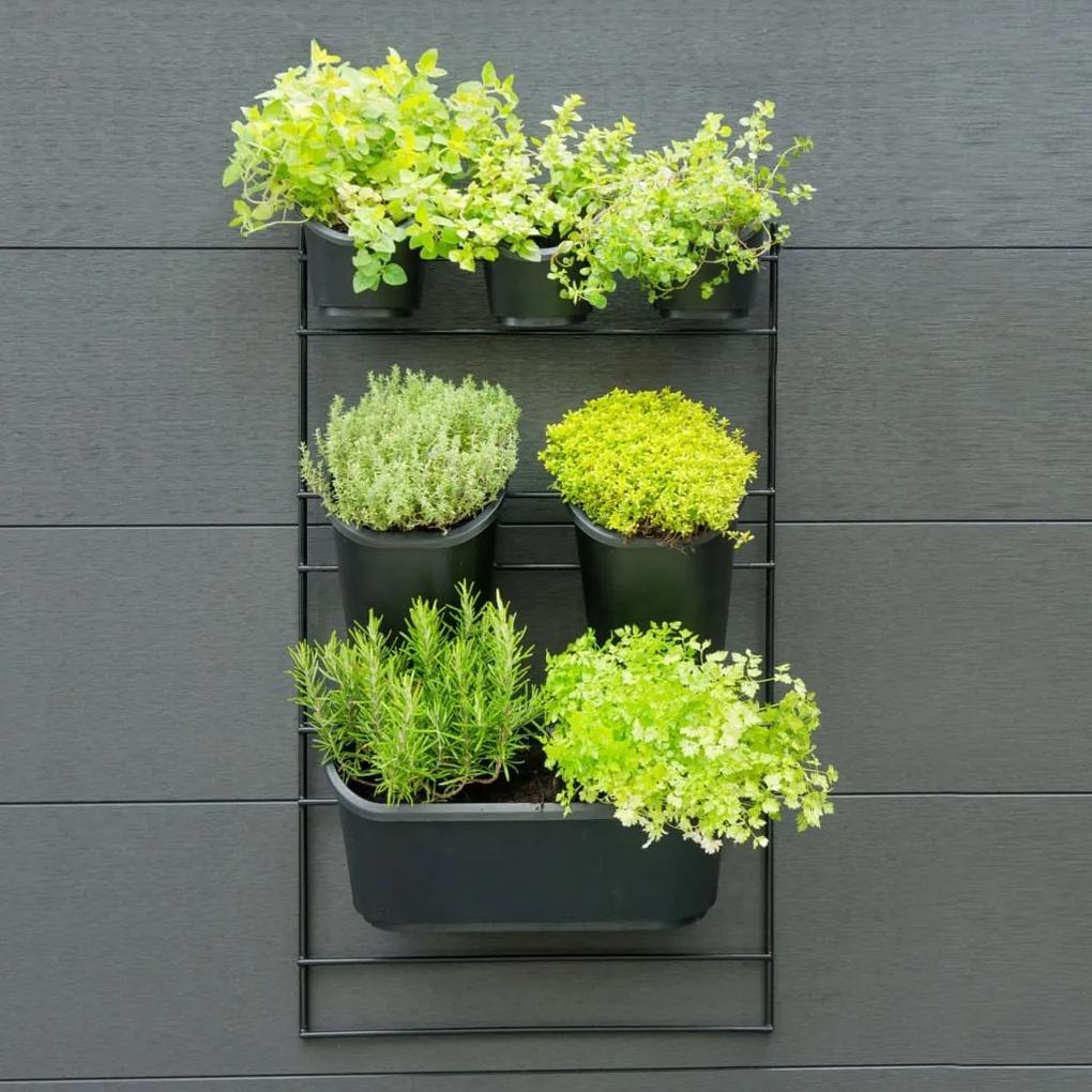 Nature Kit de parede para jardim vertical
