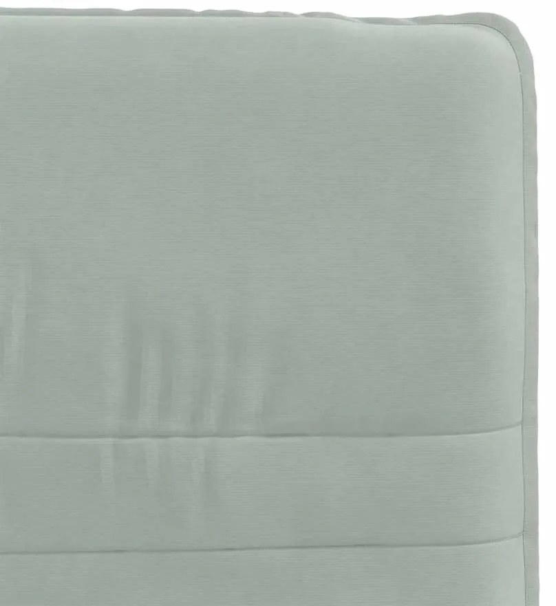 Cadeiras de jantar 2 pcs veludo cinzento-claro
