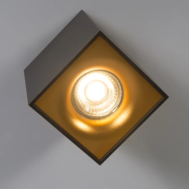 Projetores modernos pretos com dourado - Quba Delux Design,Moderno