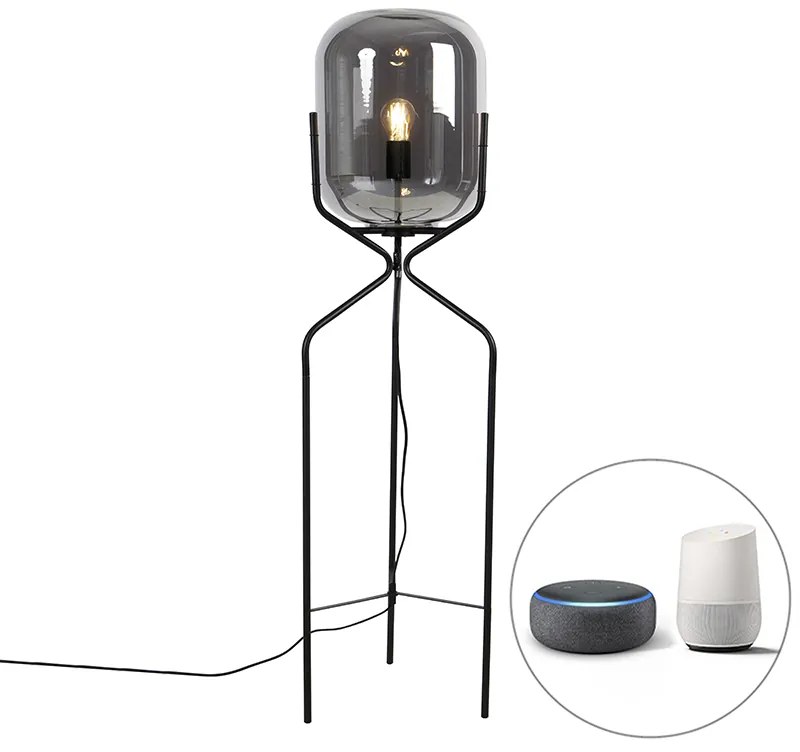 LED Candeeiro de pé inteligente preto com Wi-Fi A60 vidro fumê - Bliss Design