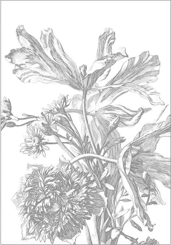 Papel de parede Engraved Flowers