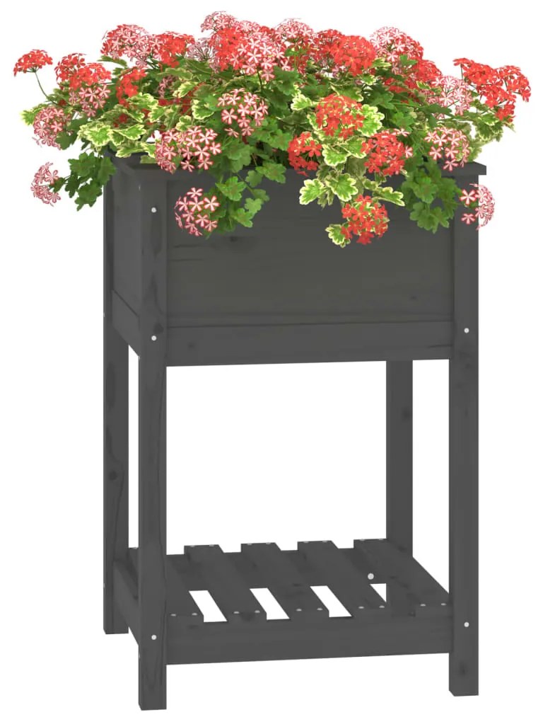 Vaso/floreira com prateleira 54x54x81 cm pinho maciço cinza