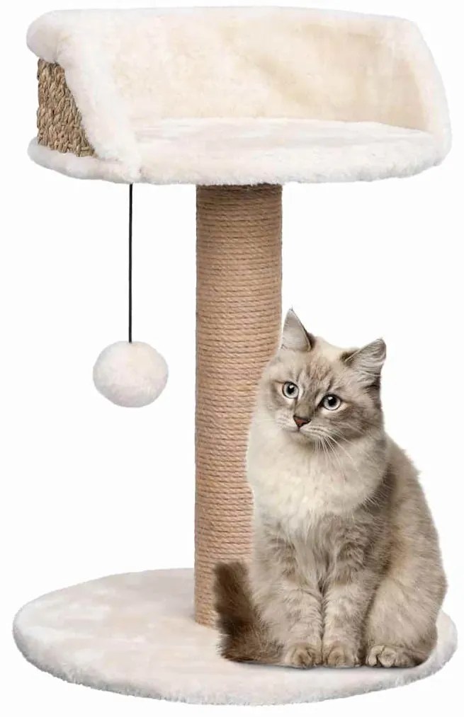 Árvore para gatos c/ postes arranhadores 49 cm erva marinha