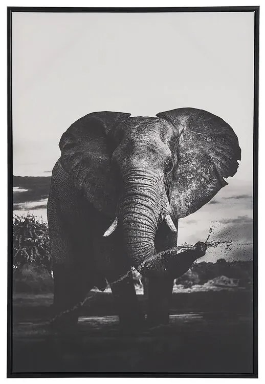 Quadro com elefante em cinzento e preto 63 x 93 cm NIBBIA Beliani