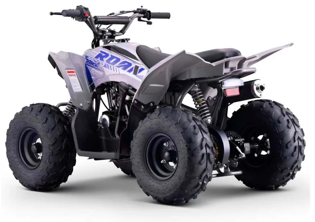 MINI MOTO 4 GASOLINA PARA CRIANÇAS velocidade até 45Km/h C/Limitador DAKAR 110cc Automática