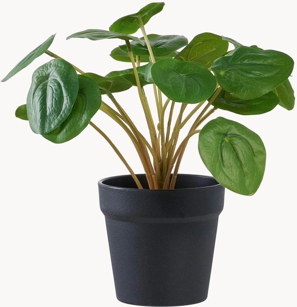 Planta artificial Pelia