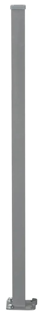 Toldo lateral retrátil 160x600 cm castanho