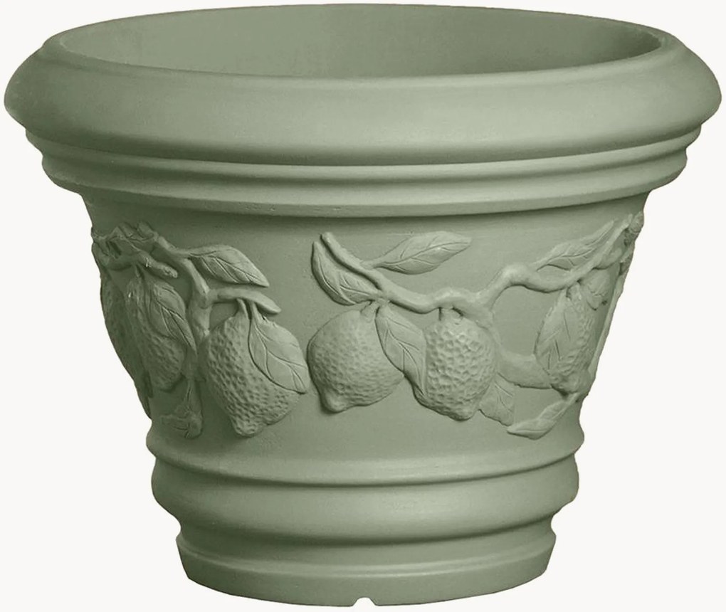 Vaso grande Limoni