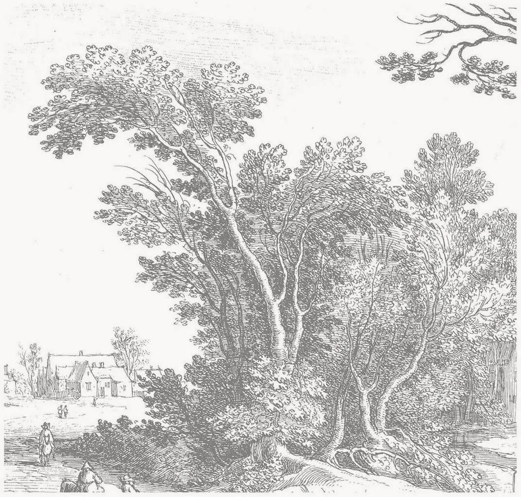 Papel de parede não tecido Engraved Landscapes V