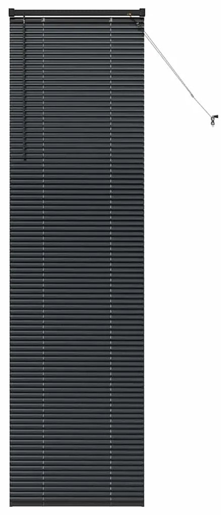 Persiana de Janela com cortinas Outros Manual Preto 60 x 220 cm Alumín