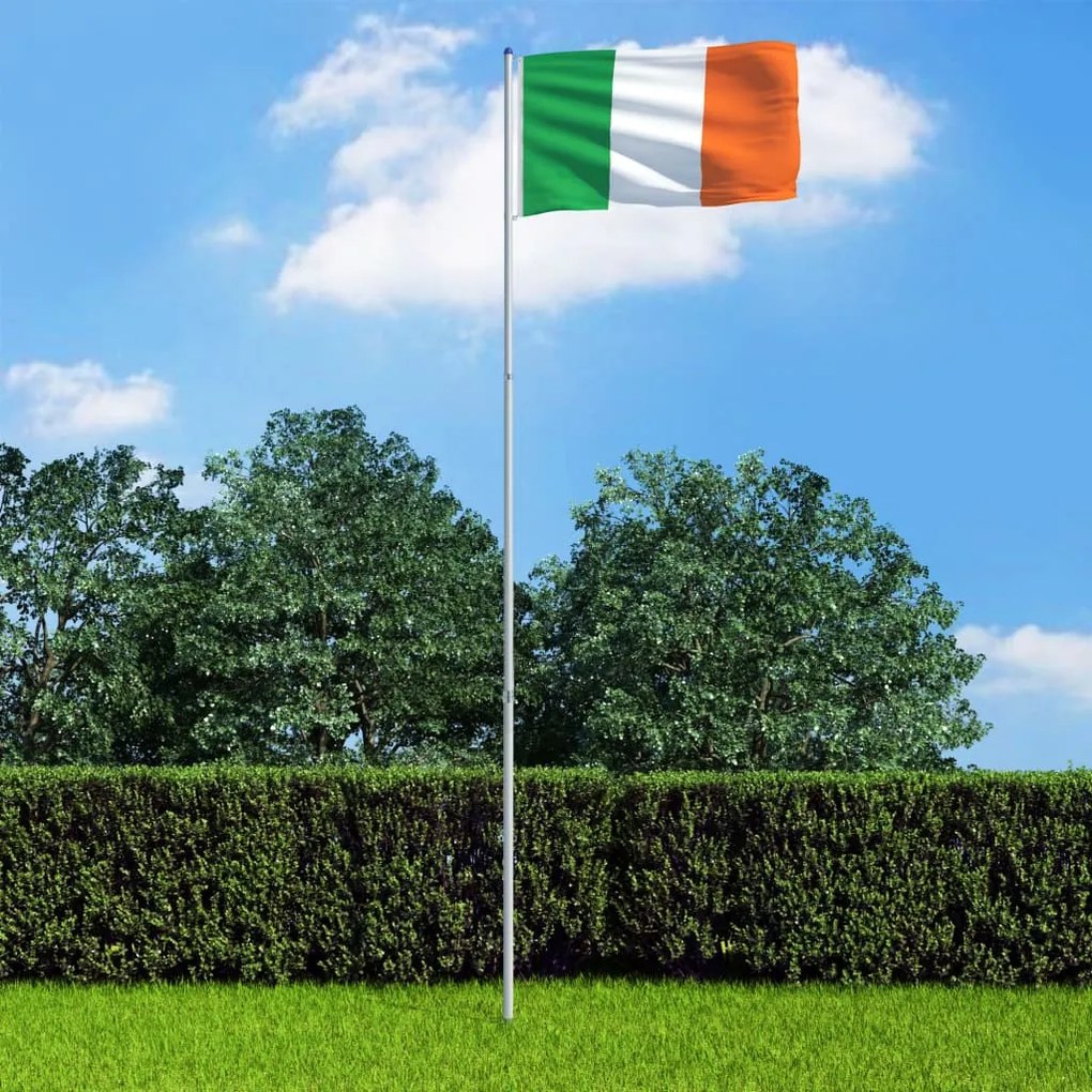 3053339 vidaXL Bandeira da Irlanda com mastro de alumínio 6 m