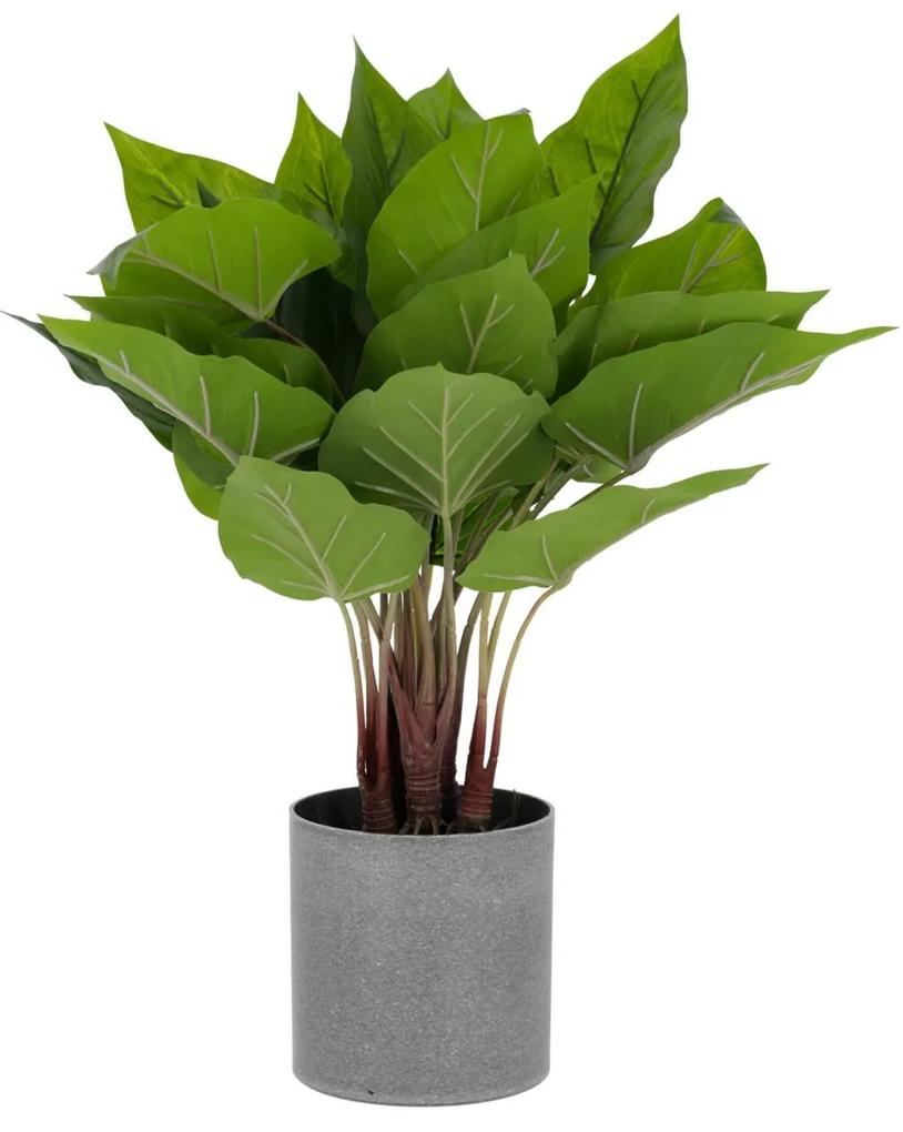 Kave Home - Planta artificial Anthurium de 50 cm