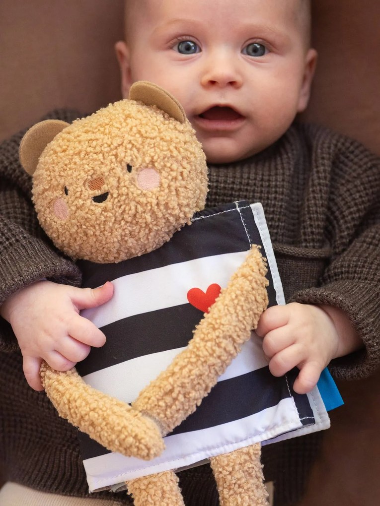 Livro ursinho carinhoso dupla face TAF TOYS multicolor
