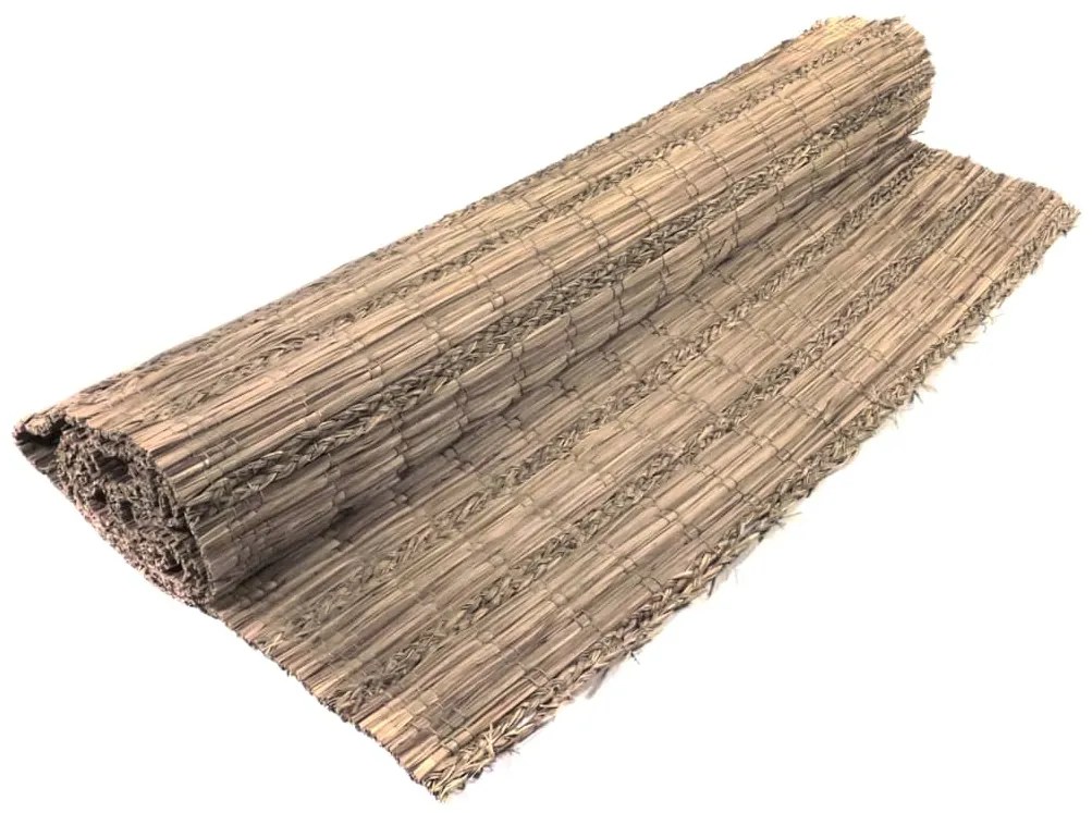 428510 Nature Tela de ocultação para jardim 3x1 m junça