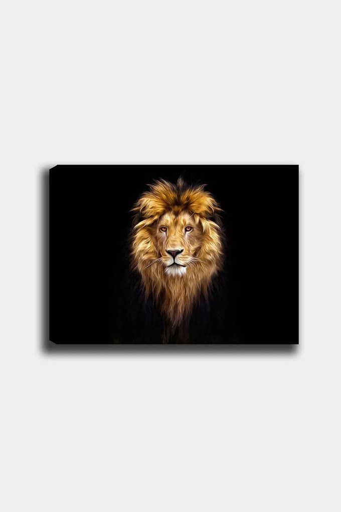 Pintura Decorativa em Tela 353413202 – Multicolor – 50 x 70 cm