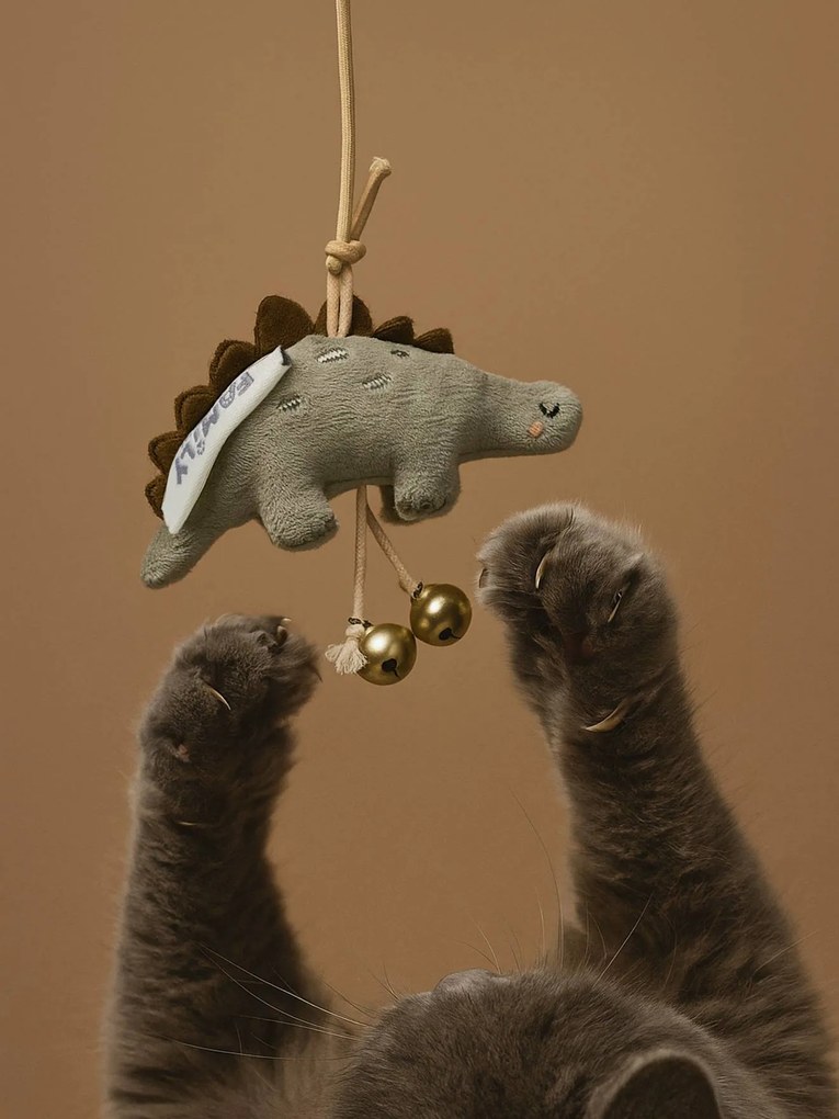 Cana de pesca  Family, para gato verde