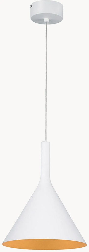 Candeeiro suspenso Asia