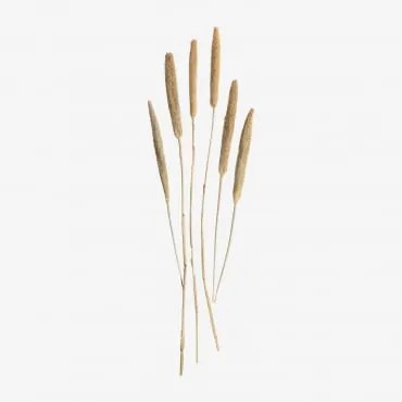 Ramo Decorativo Koty Beige Creme - Sklum