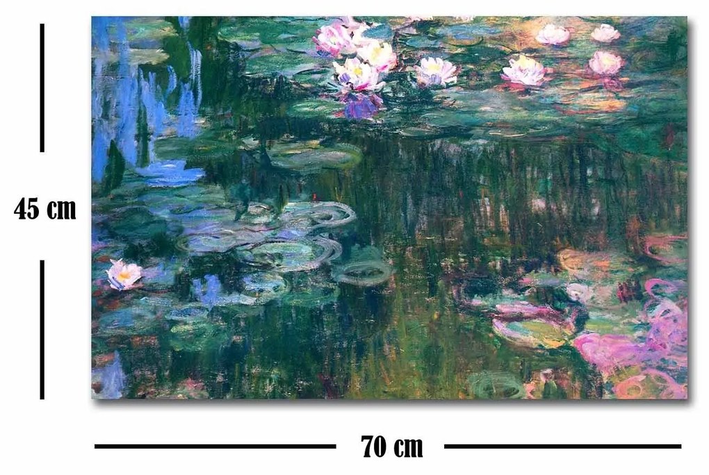 Tela Decorativa FAMOUSART-048 – Multicolor – 45 x 70 cm