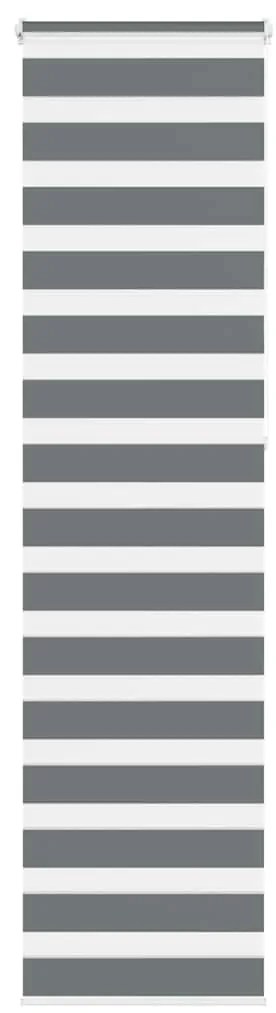 vidaXL Cortina de zebra 60x230 cm largura do tecido 55,9 cm poliéster