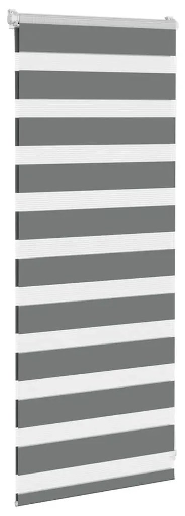 Cortina de zebra 65x100 cm largura do tecido 60,9 cm poliéster