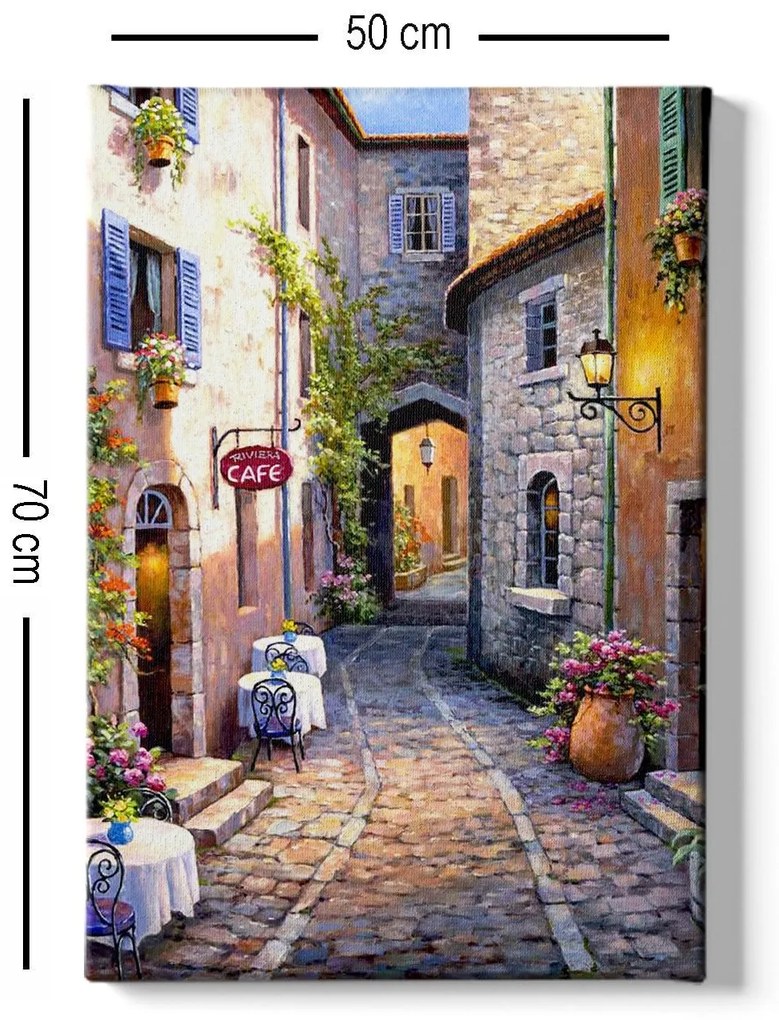 Tela Decorativa drmnz9971 – Multicolor – 50 x 70 cm