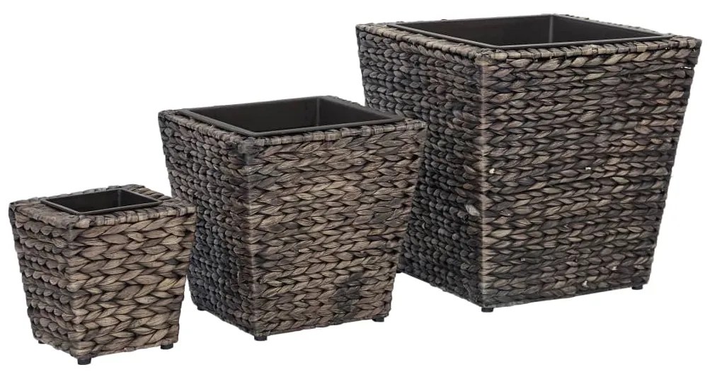 Vasos/floreiras 3 pcs jacinto de água castanho