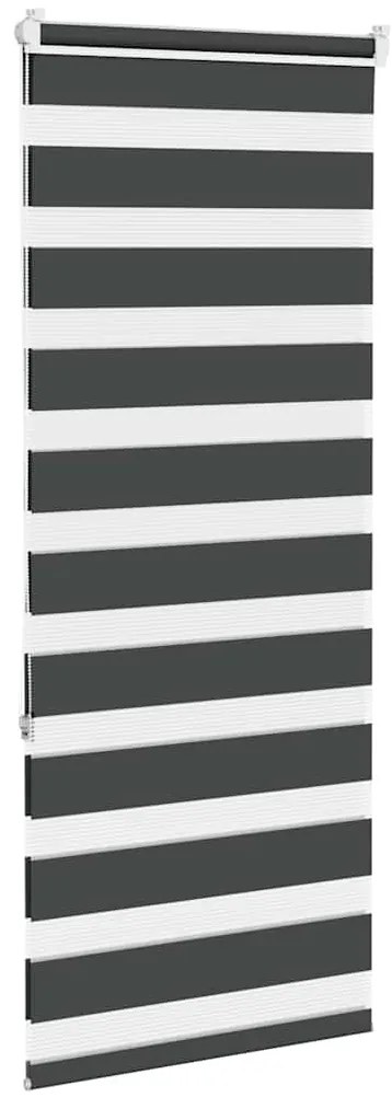 Cortina de zebra 65x150 cm largura do tecido 60,9 cm poliéster