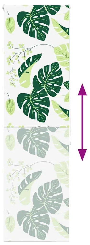 Rolo de Duche Estores 70x240 cm Largura Tecido 66 cm