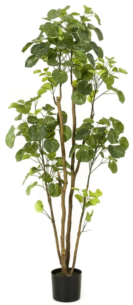 431034 Emerald Árvore artificial Polyscias em vaso 160 cm