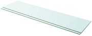 Prateleiras 2 pcs 100x25 cm vidro transparente