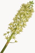 Flor artificial artesanal Eucomis