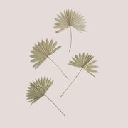Pacote De 4 Ramos Secos Decorativos Urpek Verde Bambu - Sklum