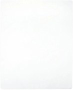 vidaXL Lençóis ajustáveis 2 pcs 90x200 cm algodão jersey branco