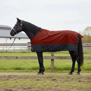 vidaXL Cobertor de Cavalo Verde Escuro e Preto 75 cm Poliéster