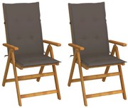 vidaXL Cadeiras jardim reclináveis c/ almofadões 2 pcs acácia maciça