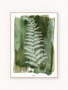 Impressão digital emoldurada White Fern