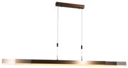 Candeeiro Pendente Ajustável Bronze Escuro 150 cm com LED Dimerizável - Lamba Moderno