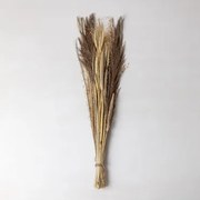 Ramo De Flores Secas Grostic Cores Naturais - Sklum