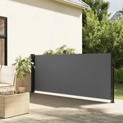 vidaXL Toldo lateral retrátil antracite 117x300 cm