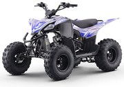 Moto 4 gasolina para crianças 125cc ROAN DAKAR R8 Azul
