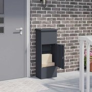 vidaXL Caixa para entrega de pacotes Antracite 44,5 x 29 x 110,5 cm